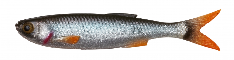 CRAFT DYING MINNOW 10CM 5.5G ROACH 5PCS