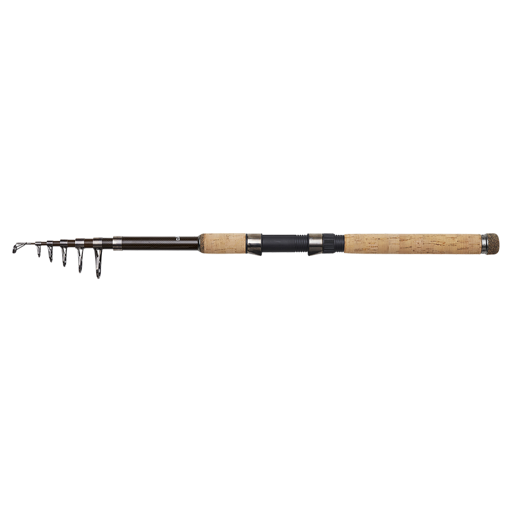DAM Backbone II Tele 3,0m 50-100g