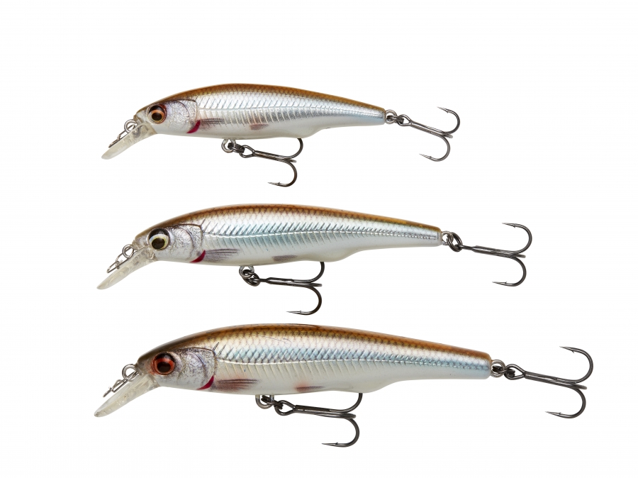 SG Gravity Twitch SR 9,5cm - Roach