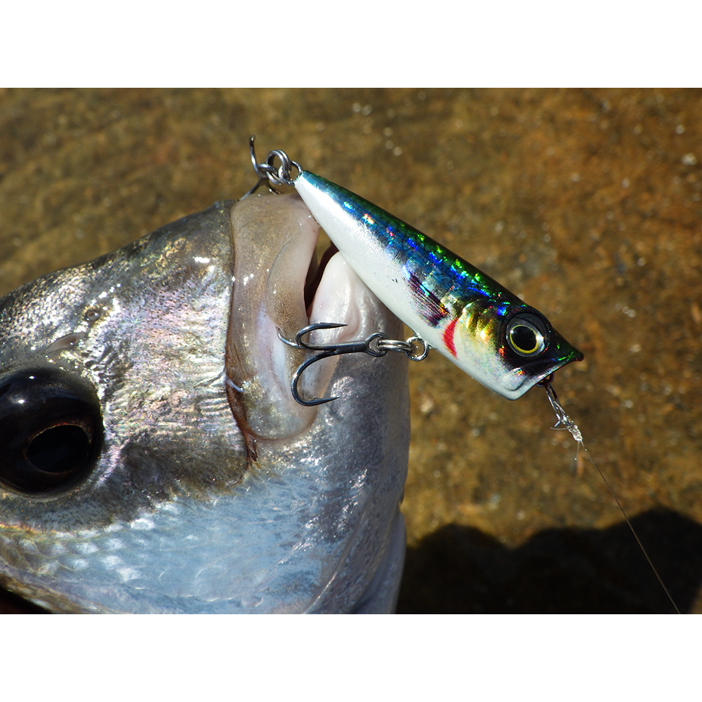 Savage Gear wobler 3D Minnow Popper 4,3cm 2,6g