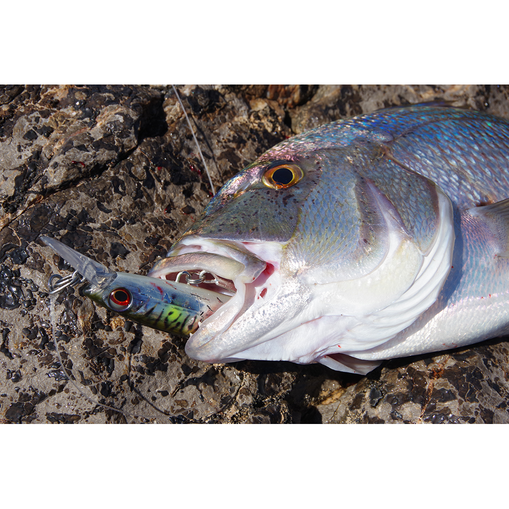 Savage Gear wobler Gravity Runner 10cm 37g - Sardine