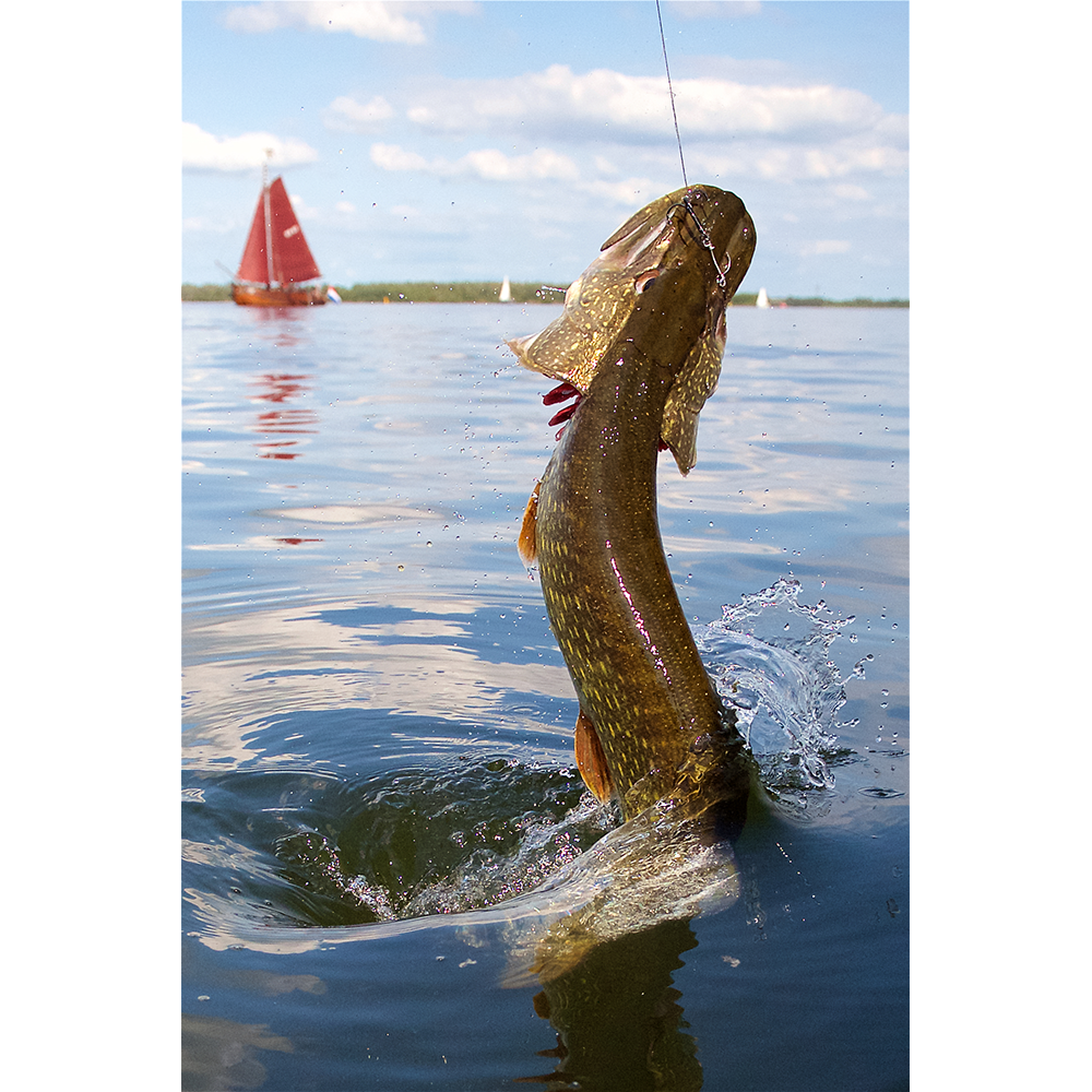 Savage Gear trojháčky SGY 1X Treble