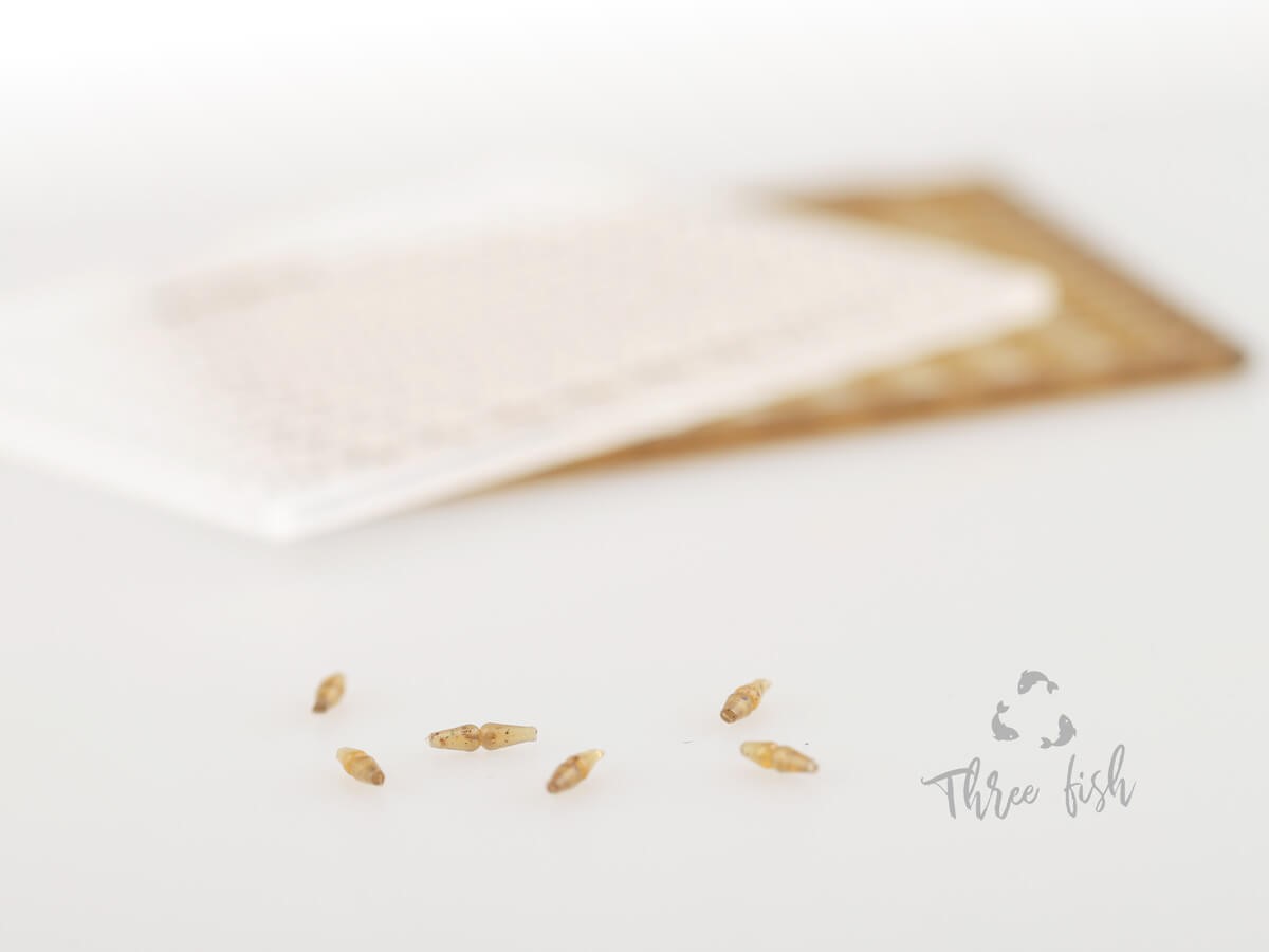 Zfish Zarážky Boilie Stops ZX