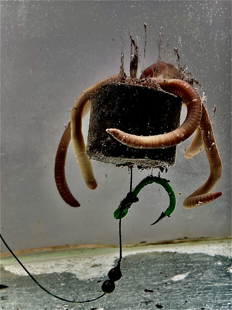 LK Baits POP-UP Pelety v dipu Sumec 38mm 200g