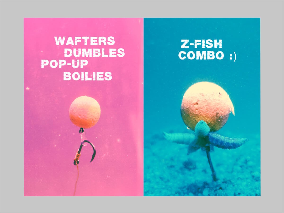 Zfish Trn Bait Spike Silicone Holder vel.M