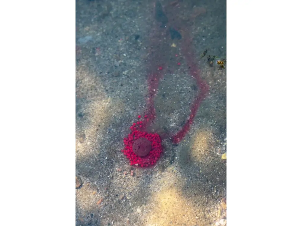 Chytil Pandemia Boilies 16mm