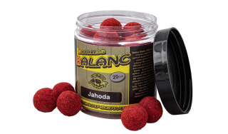 CSV Boilies Balanc - 120 g/25 mm Jahoda