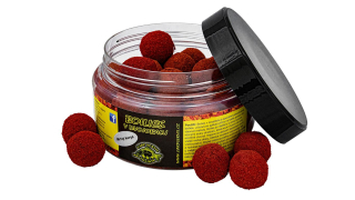 CSV Boilies v dvojobalu - 180g/20mm Mrtvý korýš