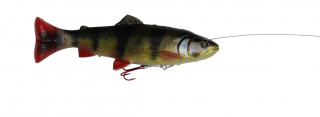 SG 4D Pulse Tail Trout 16cm 51g  Perch