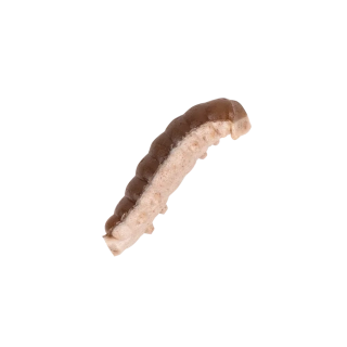 Berkley gumová nástraha PowerBait® Power® Honey Worm 25mm 55ks Grey Pearl