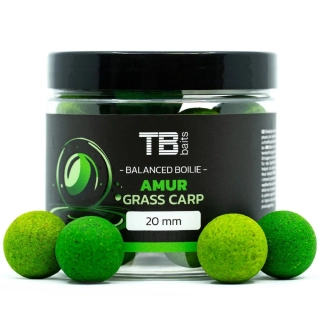 TB Baits Vyvážené Boilie Balanced + Atraktor 100g Amur Ø24mm